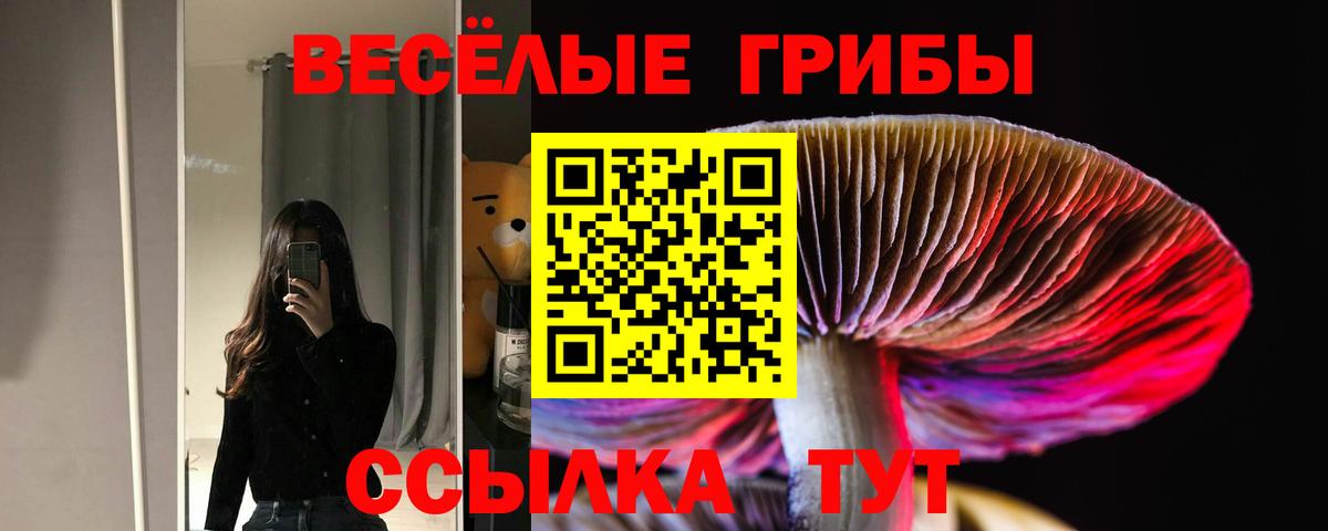 Псилоцибиновые грибы ЛСД  наркошоп  Нарьян-Мар  Вход с VPN 