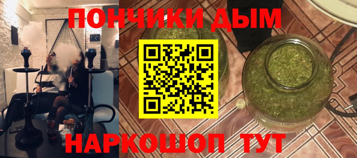 Канабис конопля Нарьян-Мар