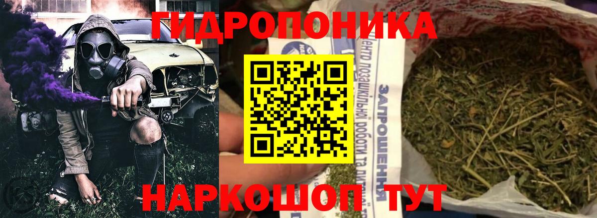 Конопля планчик Нарьян-Мар